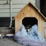 Best Dog Houses for All Breeds