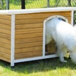 Best Large Dog Houses for Bigger Breeds