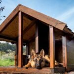 Choosing the Right Dog House for Your Pet
