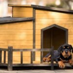 Customizing Dog Houses for Comfort