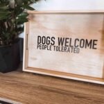 DIY Dog Gift Ideas for Any Occasion