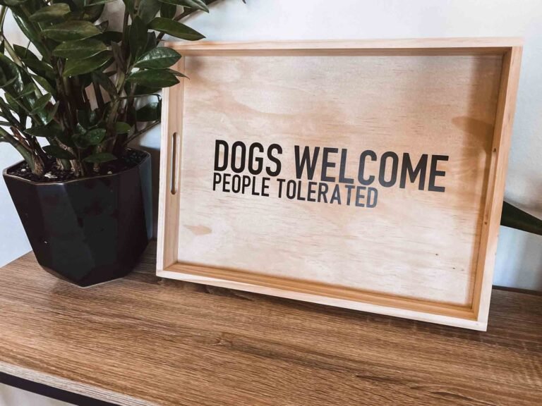 DIY Dog Gift Ideas for Any Occasion