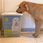 Dog Food Storage Tips for Freshness