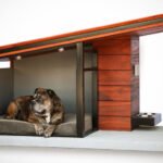 Dog House Ideas for Urban Homes