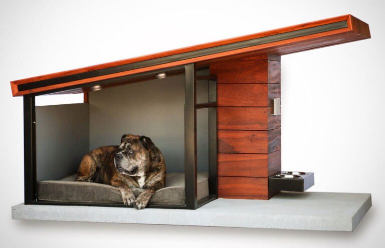 Dog House Ideas for Urban Homes