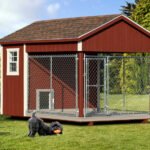 Dog Houses for Multiple Dogs