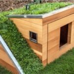 Eco-Friendly Dog Houses: A Sustainable Choice