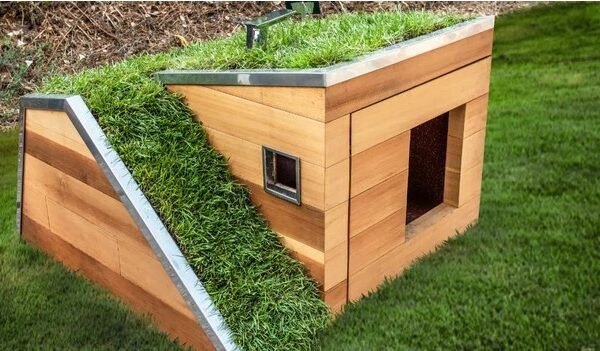 Eco-Friendly Dog Houses: A Sustainable Choice