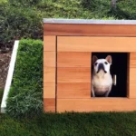 Eco-Friendly Dog Houses for Sustainable Living