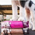 Feeding Guidelines Based on Dog Breed and Size