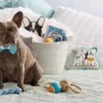 Gifts That Enhance Your Dog's Comfort and Well-Being