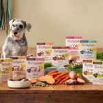 Grain-Free Dog Food: Is It Necessary?