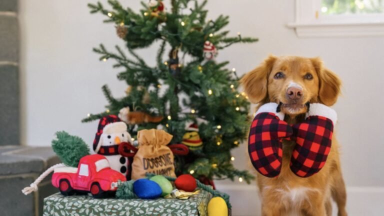 Holiday-Themed Dog Toys for Festive Fun