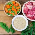 Homemade Dog Food Recipes for Healthy Meals