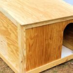How to Build a DIY Dog House
