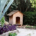 How to Choose the Perfect Dog House