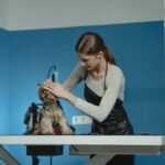 How to Groom a Dog at Home Like a Pro