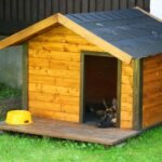 How to Maintain a Wooden Dog House