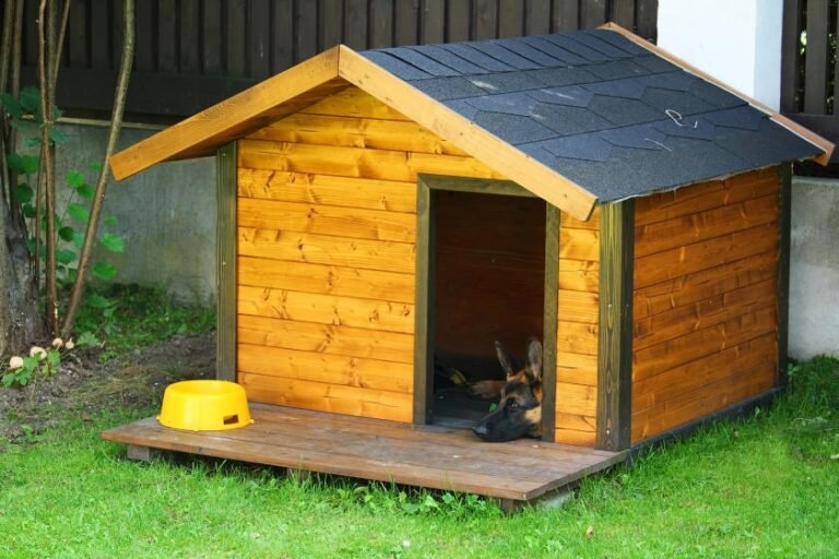 How to Maintain a Wooden Dog House