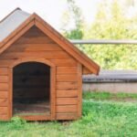 How to Reinforce a Dog House for Stronger Breeds