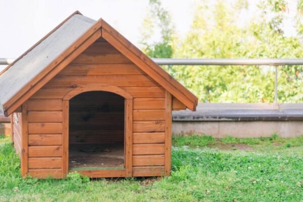 How to Reinforce a Dog House for Stronger Breeds