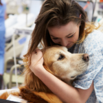 How to Train Your Dog for Therapy Visits