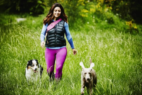 How to Train a Dog for Off-Leash Walking