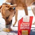 Hydrating Your Dog Through Food Options