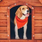 Incorporating Heating Systems into a Dog House