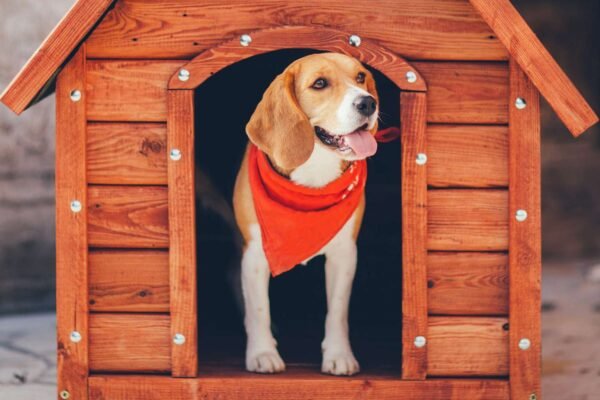 Incorporating Heating Systems into a Dog House