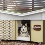 Luxury Dog Houses for Spoiled Pets