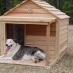 Maintenance Tips for Keeping Dog Houses Clean