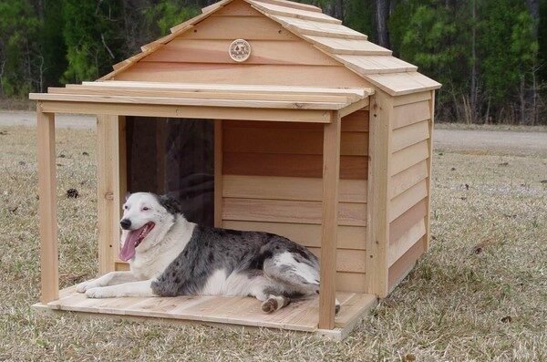 Maintenance Tips for Keeping Dog Houses Clean