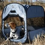 Portable Dog Houses for Camping