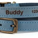 Shopping for Personalized Dog Collars