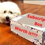 Subscription Boxes for Dogs: Are They Worth It?