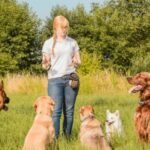 The Benefits of Hiring a Professional Dog Trainer
