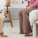 The Role of Consistency in Successful Dog Training