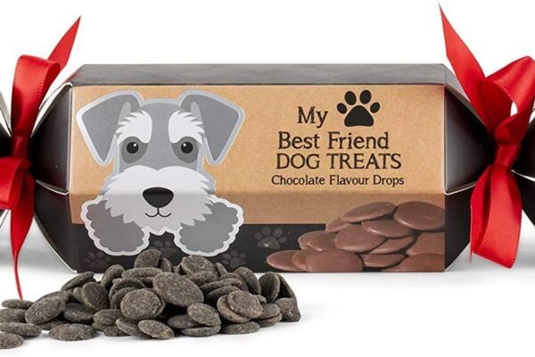 Top Dog Treat Gift Boxes