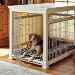 Top Indoor Dog House Designs