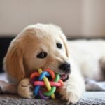 Treats as Gifts: Healthy and Fun Options