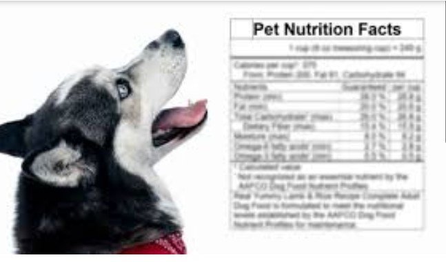 Understanding Dog Food Labels: What to Look For