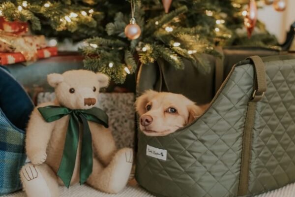 Unique Gift Ideas for Dog LoversUnique Gift Ideas for Dog Lovers