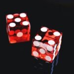CasinoScout Maximum Daily Transactions: High-Roller Limit Guide
